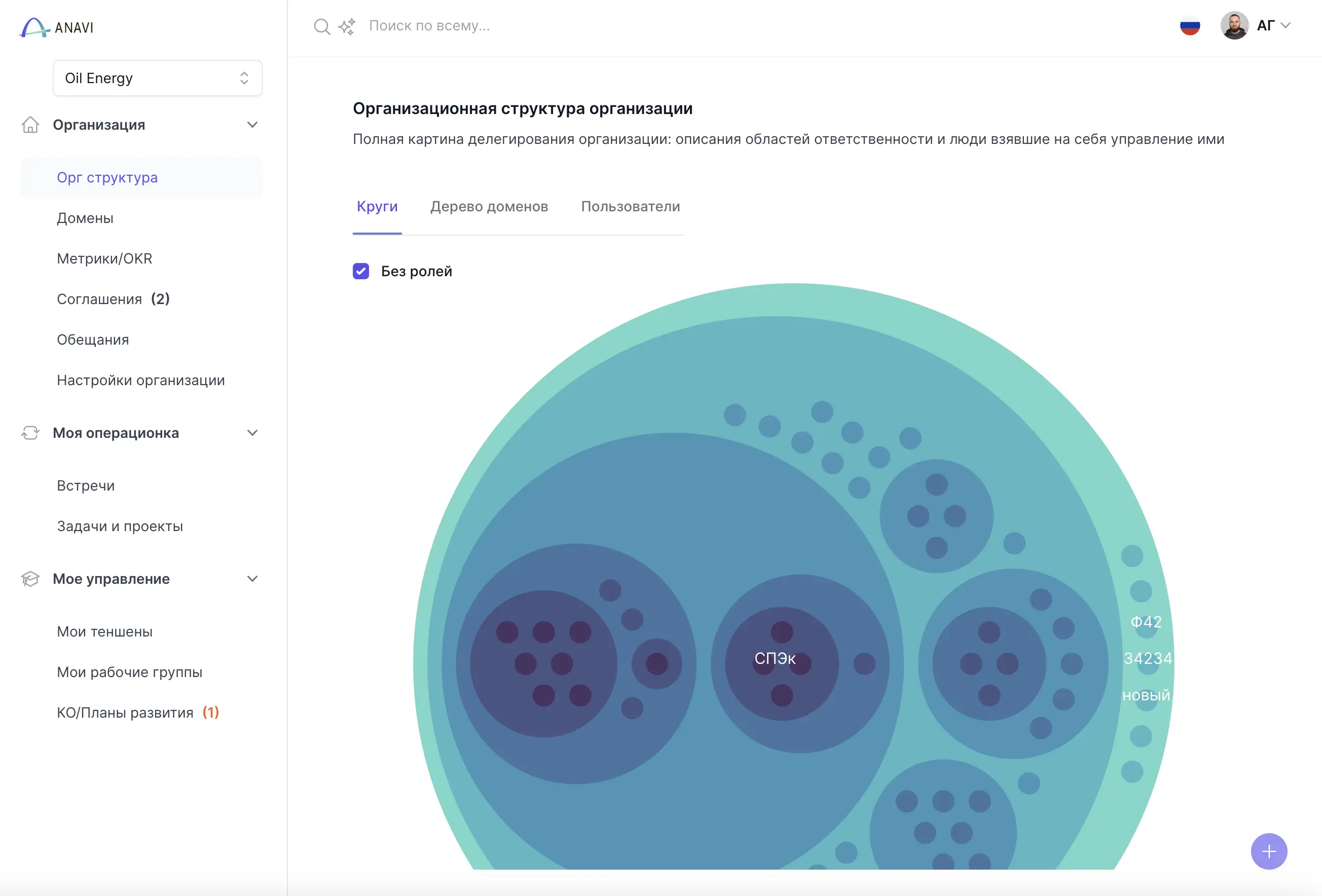 Скриншот организационной структуры Anavi